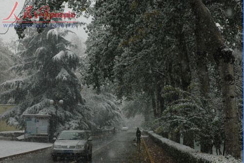 北京受降雪影響部分航班延誤 已啟動應(yīng)急預(yù)案