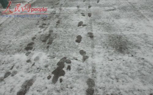 北京受降雪影響部分航班延誤 已啟動應(yīng)急預(yù)案