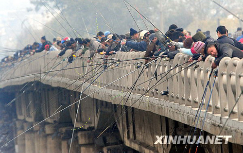 “漁翁”垂釣洛陽(yáng)橋