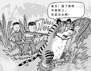 云南被分食老虎可能系中國(guó)最后野生印支虎