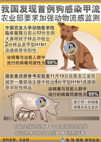 農(nóng)業(yè)部有關(guān)負責(zé)人就犬檢出甲流病毒情況答記者問